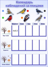 Ведение календарей природы в ДОУ: виды и роль в познавательной деятельности